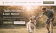 design squarespace mobile pet grooming website dog service website