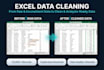 clean, format, and organize your excel data professionally