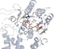 create protein structure and ligand figures in pymol