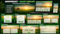 create a responsive website