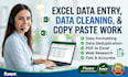 do excel data entry