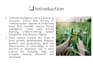 design professional biology and botany powerpoint presentations