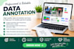 data entry, transcription and translation
