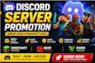 do discord server promotion, gaming server promotion, minecraft, rust, fivem