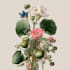 do a botanical illustration art