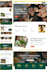 design wix website redesign wix web design wix studio expert