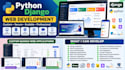 develop a professional python django web application