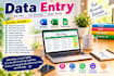 be your exce data entry expert and create dashboard