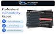 perform a web application vulnerability assessment