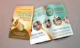 brochure design brochure trifold brochure flyer design flyer