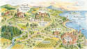 design custom wedding maps, wedding venue maps, invitation maps and location map