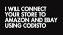 connect your store to amazon and ebay using codisto