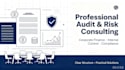 do professional financial, audit and business consulting