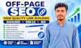 do technical SEO, off page link building and complete website audit