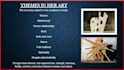 design your power point presentation