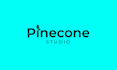 create a professional logo desgin and brand identy