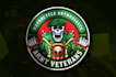 design a powerful and professional veteran logo