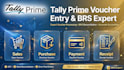 do data entry in tally prime, voucher entries and bookkeeping