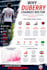 create professional data visualisations