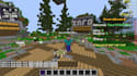 develop and setup a professional minecraft server
