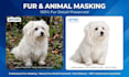 do hair masking complex background removal for model and portrait photo