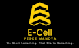 graphic and logo designing