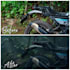 create cinematic ai videos with vfx