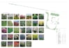 propose a planting plan presentation