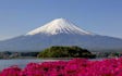 plan your perfect trip as your personal travel agent