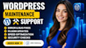 do wordpress website maintenance, wordpress errors, fix, updates and support