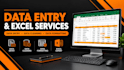 provide data entry and excel services
