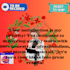 do professional facebook marketing and social medi