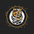 design professional logo design