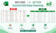 clean and format excel and CSV data professionally