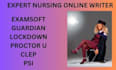 snhu wgu umpi courses, walden bsn, msn classes, examplify, umpi, herzing classes