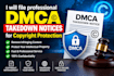 file professional dmca takedown notices for copyright protection