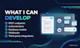 develop a python backend rest API and third party integrations