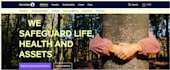 design best website with full stack development