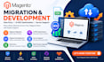 do magento migration website developments data entry ai seo optimization server