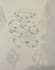 draw you something on paper