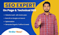 do website audit,on page and technical SEO with action plan