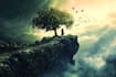 do photo manipulation and photo editing