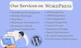 do wordpress website development and custom website for ecommerce busines