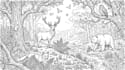 draw black and white outline illustrations