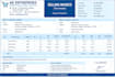 do professional excel data entry, ms word