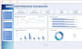 create a professional excel dashboard and data visualization