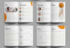 design educational booklets, textbooks and workbooks in indesign and canva