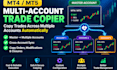 program forex copier bot tradingview strategy, mt4 or mt5 copier mql4