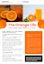 write SEO and GEO optimized articles and blog posts