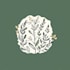 design botanical hand drawn logo